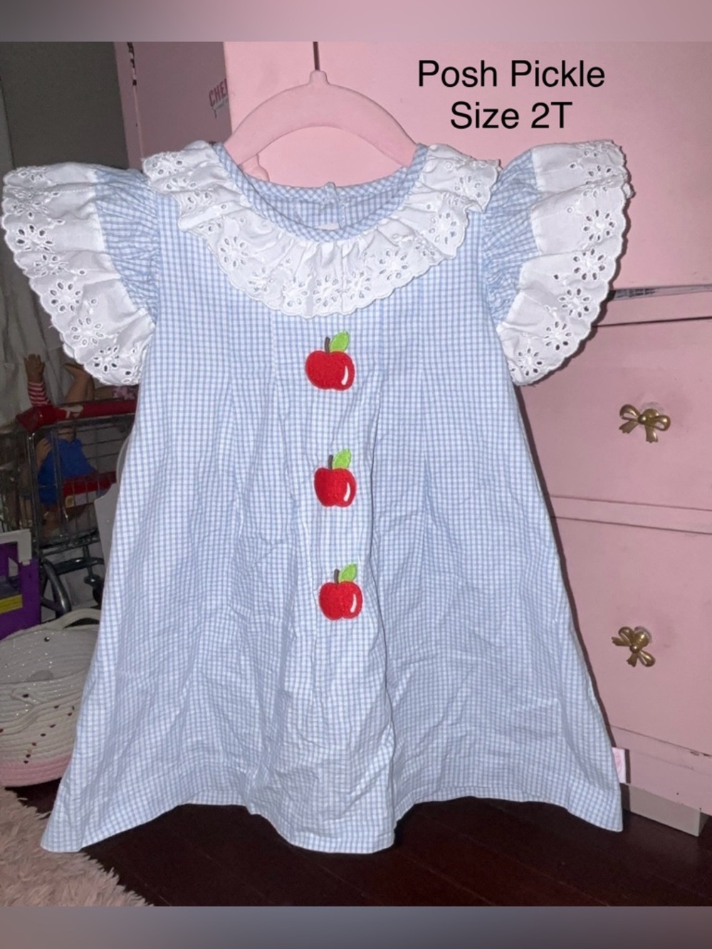 Blue Gingham Dress with Red Apple Appliqués - Size 2T